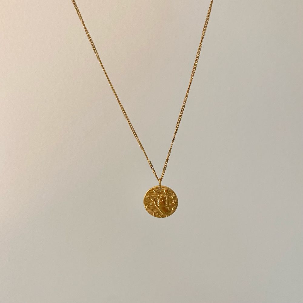 18K Gold Plated Leo Lion Coin Tag Necklace - Picture 5 of 8